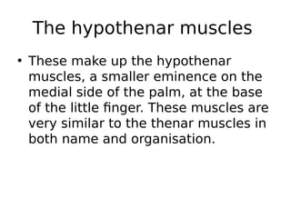 The hypothenar muscles
• These make up the hypothenar
muscles, a smaller eminence on the
medial side of the palm, at the base
of the little finger. These muscles are
very similar to the thenar muscles in
both name and organisation.
 