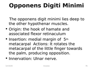 Opponens Digiti Minimi
The opponens digit minimi lies deep to
the other hypothenar muscles.
 Origin: the hook of hamate and
associated flexor retinaculum
 Insertion: medial margin of 5th
metacarpal Actions: It rotates the
metacarpal of the little finger towards
the palm, producing opposition.
 Innervation: Ulnar nerve.
12/10/20 kiryowa 76
 
