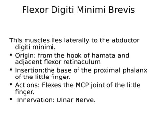 Flexor Digiti Minimi Brevis
This muscles lies laterally to the abductor
digiti minimi.
 Origin: from the hook of hamata and
adjacent flexor retinaculum
 Insertion:the base of the proximal phalanx
of the little finger.
 Actions: Flexes the MCP joint of the little
finger.
 Innervation: Ulnar Nerve.
 