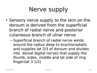 Nerve supply
• Sensory nerve supply to the skin on the
dorsum is derived from the superficial
branch of radial nerve and posterior
cutaneous branch of ulnar nerve
– Superficial branch of radial nerve winds
around the radius deep to brachioradialis
and supplies lat 2/3 of dorsum and divides
into dorsal digital nerves that supply the
thumb, index, middle and lat side of ring
finger(lat 3 1/2)
12/10/20 80
kiryowa
 