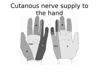 Cutanous nerve supply to
the hand
 