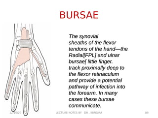 BURSAE
The synovial
The synovial
sheaths of the flexor
sheaths of the flexor
tendons of the hand—the
tendons of the hand—the
Radial[FPL] and ulnar
Radial[FPL] and ulnar
bursae[ little finger.
bursae[ little finger.
track proximally deep to
track proximally deep to
the flexor retinaculum
the flexor retinaculum
and provide a potential
and provide a potential
pathway of infection into
pathway of infection into
the forearm. In many
the forearm. In many
cases these bursae
cases these bursae
communicate.
communicate.
12/10/20 89
LECTURE NOTES BY DR . IBINGIRA
 