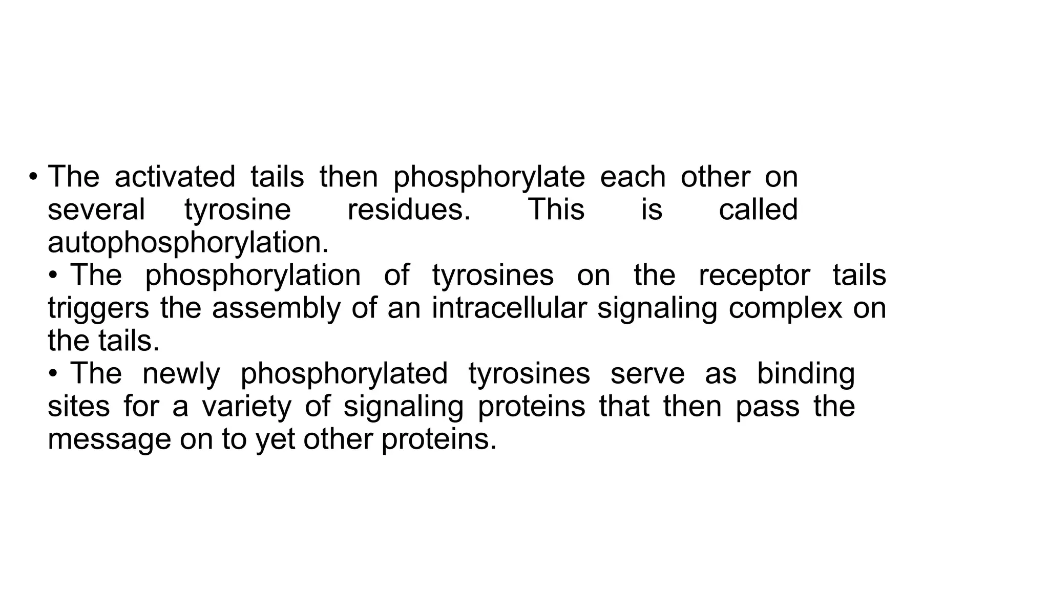 • The activated tails then phosphorylate each other on
several tyrosine residues. This is called
autophosphorylation.
• The phosphorylation of tyrosines on the receptor tails
triggers the assembly of an intracellular signaling complex on
the tails.
• The newly phosphorylated tyrosines serve as binding
sites for a variety of signaling proteins that then pass the
message on to yet other proteins.
 