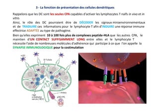 3 - La fonction de présentation des cellules dendritiques
Rappelons que les DC sont les seules CPA capables d'activer les lymphocytes T naïfs in vivo et in
vitro.
Ainsi, le rôle des DC pourraient être de DÉCODER les signaux miroenvironnementaux
et de TRADUIRE ces informations pour le lymphocyte T afin d’INDUIRE une réponse immune
effectrice ADAPTÉE au type de pathogène.
Bien qu'elles expriment 10 à 100 fois plus de complexes peptide-HLA que les autres CPA, le
maintien d'UN CONTACT SUFFISAMMENT LONG entre elles et le lymphocyte T
nécessite l'aide de nombreuses molécules d'adhérence qui participe à ce que l'on appelle la
SYNAPSE IMMUNOLOGIQUE pour la costimulation
 