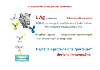 III. NOTION D’ANTIGÈNES, ÉPITOPES ET HAPTÈNES
1 Ag = n épitopes: Antigénique et immunogène
Haptène: 1 épitope antigénique mais pas immunogène
DéfinitDéfinit par sonpar son poidpoid moléculairemoléculaire >> 55 kilo Daltonkilo Dalton
Mass moléculaire de 5,000 grams par mole
Haptène: 1 épitope antigénique mais pas immunogène
(c’est en quelque sorte un épitope isolé)
Haptène + protéine dite "porteuse" :
devient immunogène
 