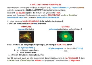 II. RÔLE DES CELLULES DENDRITIQUES
Les CD sont les cellules présentatrices d'antigène (CPA) "PROFESSIONNELLES", qui font LE PONT
entre les composantes INNÉE et ADAPTATIVE de la réponse immunitaire.
Elles sont LES SEULES capables de stimuler un lymphocyte T naïf,
car ce sont les seules CPA à exprimer, de manière CONSTITUTIVE, une forte densité de
molécules de classe II du CMH et de molécules de costimulation.
Il existe plusieurs SOUS-POPULATIONS de DC (cellules dendritiques),
a. que l'on retrouve sous DEUX états différents
IMMATURES
capturent l'antigène
MATURES
présentent cet antigène au lymphocyte T.
Les DC exercent aussi un rôle fondamental dans l'établissement de LA TOLÉRANCE T, tant
CENTRALE que PÉRIPHÉRIQUE en inhibant un lymphocyte T ou stimulant un LT Régulateur
b. En fonction de l’origine (et morphologie), on distingue DEUX TYPES de CD
DC myéloïde (TYPE I)
1. les cellules de Langerhans,
2. les DC interstitielles
3. et les DC dérivée des monocytes ou DC1.
DC plasmocytoïde ou lymphoïde (TYPE II)
DC2.
 