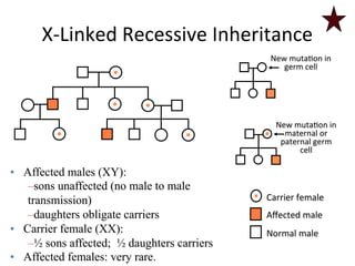 X-­‐Linked 
Recessive 
Inheritance 
Carrier 
female 
Affected 
male 
Normal 
male 
• Affected males (XY): 
– sons unaffected (no male to male 
transmission) 
– daughters obligate carriers 
• Carrier female (XX): 
– ½ sons affected; ½ daughters carriers 
• Affected females: very rare. 
New 
muta<on 
in 
germ 
cell 
New 
muta<on 
in 
maternal 
or 
paternal 
germ 
cell 
 