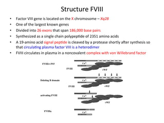 Structure 
FVIII 
• Factor 
VIII 
gene 
is 
located 
on 
the 
X 
chromosome 
– 
Xq28 
• One 
of 
the 
largest 
known 
genes 
• Divided 
into 
26 
exons 
that 
span 
186,000 
base 
pairs 
• Synthesized 
as 
a 
single 
chain 
polypep<de 
of 
2351 
amino 
acids 
• A 
19-­‐amino 
acid 
signal 
pep<de 
is 
cleaved 
by 
a 
protease 
shortly 
awer 
synthesis 
so 
that 
circula<ng 
plasma 
factor 
VIII 
is 
a 
heterodimer 
• FVIII 
circulates 
in 
plasma 
in 
a 
noncovalent 
complex 
with 
von 
Willebrand 
factor 
 