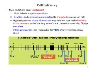 FVIII 
Deficiency 
• Most 
muta<ons 
occur 
in 
intron 
22 
1. Most 
defects 
are 
point 
muta<ons 
2. Dele<ons 
and 
nonsense 
muta<ons 
lead 
to 
truncated 
molecules 
of 
FVIII 
– High 
frequency 
of 
intron 
22 
inversions 
may 
relate 
in 
part 
to 
the 
flexibility 
of 
the 
telomeric 
end 
of 
the 
long 
arm 
of 
the 
X 
chromosome—called 
flip-­‐Lp 
mutaLon 
– Intron 
22 
inversions 
are 
responsible 
for 
~43% 
of 
severe 
hemophilia 
A 
cases 
29 
 