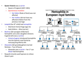 • Queen 
Victoria 
was 
a 
carrier 
– Queen 
of 
England 
(1837-­‐1901) 
– Spontaneous 
muta3on 
• Her 
father 
(Duke 
of 
Kent) 
was 
not 
affected 
• Her 
mother 
did 
not 
have 
any 
affected 
children 
from 
the 
previous 
marriage 
• Leopold 
(her 
8th 
child) 
had 
hemophilia 
– Died 
brain 
hemorrhage 
(age 
31) 
– Had 
children 
– 
Alice 
(carrier) 
• Beatrice 
(QV 
youngest 
child) 
had 
2 
hemophilic 
sons 
and 
a 
daughter 
(Victoria 
Eugene) 
who 
was 
a 
carrier) 
– Victoria 
Eugene 
introduced 
hemophilia 
into 
the 
Spanish 
royal 
family 
by 
marrying 
king 
Alfonso 
XIII 
• Alexandra 
(QV 
granddaughter) 
married 
Nicholas 
– 
Tsar 
of 
Russia 
– Alexandra 
was 
a 
carrier 
– 
her 
1st 
son 
Alexei 
had 
hemophilia 
• Raspu<n 
(monk) 
used 
hypnosis 
to 
relieve 
Alexei’s 
pain 
 