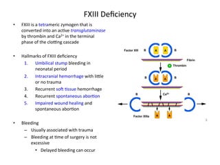 FXIII 
Deficiency 
• FXIII 
is 
a 
tetrameric 
zymogen 
that 
is 
converted 
into 
an 
ac<ve 
transglutaminase 
by 
thrombin 
and 
Ca2+ 
in 
the 
terminal 
phase 
of 
the 
cloZng 
cascade 
• Hallmarks 
of 
FXIII 
deficiency 
1. Umbilical 
stump 
bleeding 
in 
neonatal 
period 
2. Intracranial 
hemorrhage 
with 
li]le 
or 
no 
trauma 
3. Recurrent 
sow 
<ssue 
hemorrhage 
4. Recurrent 
spontaneous 
abor<on 
5. Impaired 
wound 
healing 
and 
spontaneous 
abor<on 
• Bleeding 
– Usually 
associated 
with 
trauma 
– Bleeding 
at 
<me 
of 
surgery 
is 
not 
excessive 
• Delayed 
bleeding 
can 
occur 
 