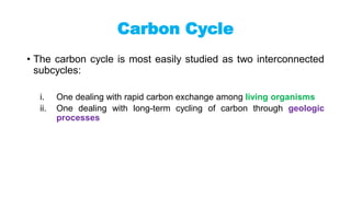 Carbon Cycle
• The carbon cycle is most easily studied as two interconnected
subcycles:
i. One dealing with rapid carbon exchange among living organisms
ii. One dealing with long-term cycling of carbon through geologic
processes
 
