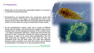 14. Phytoplankton
• Plants take up CO2 which they essentially breathe it in and use it
to build their physical structures.
• Phytoplankton are basically teeny tiny microscopic plants that
live in the surface of the ocean, so essentially you have in the
surface of the ocean these little tiny microscopic plants are taking
carbon from the water and using it to build parts of their bodies.
• As the phytoplankton mature, there are a couple of different
things that can happen. One thing that can happen is they can be
recycled back into the biological processes of the surface ocean
– so maybe zooplankton eats them, maybe they die and they are
returned to their component minerals by natural processes and
that carbon is taken up by some other phytoplankton. But the
other thing that can happen is that, when they die, they can
precipitate down into the deep ocean and when that happens
because ocean circulation is so slow that carbon can be stored
or sequestered in the ocean for a very long period of time.
Acknowledgements:
Dr Sara Mikaloff-Fletcher, National Institute of Water and Atmospheric Research (NIWA)
 