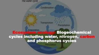 Ecosystem ecology: Biogeochemical
cycles including water, nitrogen, carbon
and phosphorus cycles
 