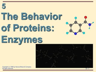 5 
5-1 
The Behavior 
of Proteins: 
Enzymes 
Copyright (c) 1999 by Harcout Brace & Company 
All rights reserved 
 