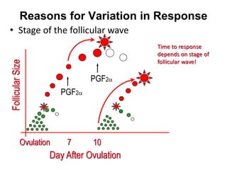 Reasons for Variation in Response
• Stage of the follicular wave
FollicularSize
PGF2
PGF2
Ovulation 7
Time to response
depends on stage of
follicular wave!
10
Day After Ovulation
 