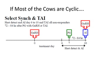 If Most of the Cows are Cyclic….
 