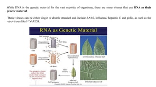 tobacco mosaic virus experiment Experimental evidence to Prove RNA as genetic material