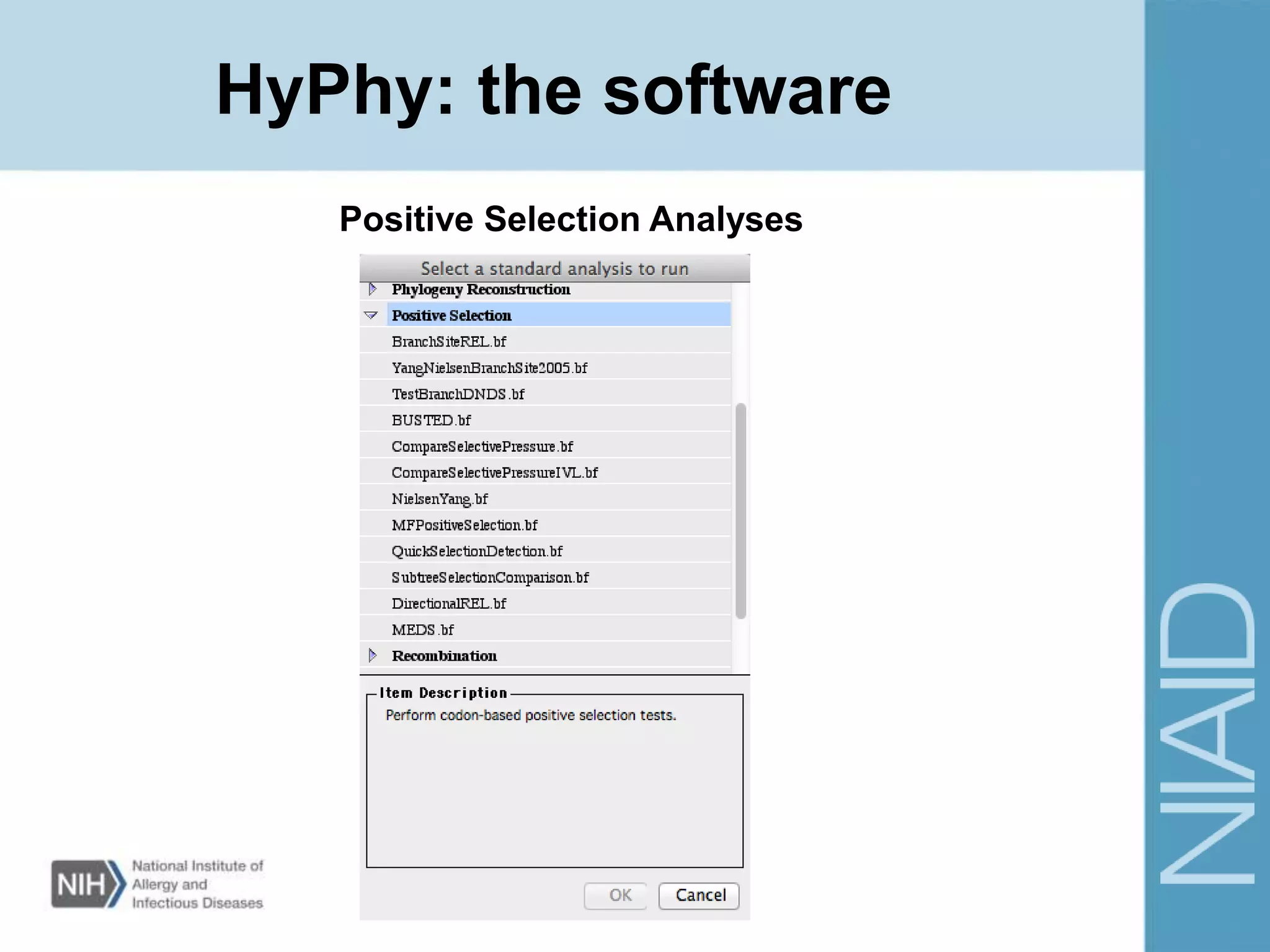 Positive Selection Analyses
HyPhy: the software
 