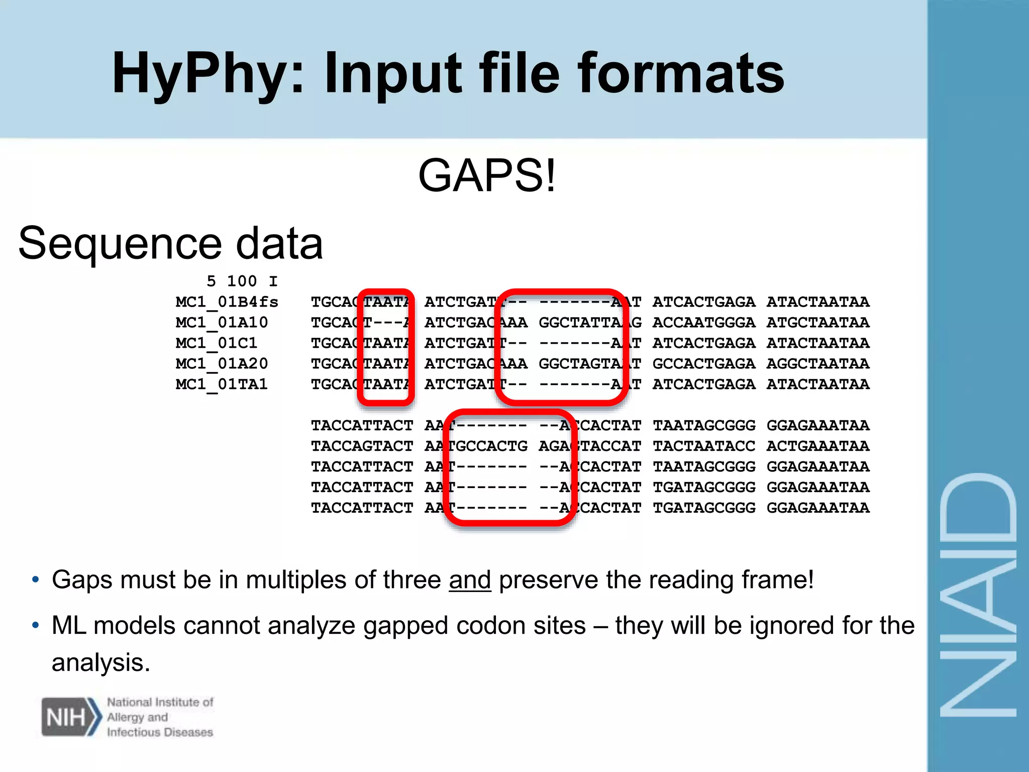 HyPhy: Input file formats
5 100 I
MC1_01B4fs TGCACTAATA ATCTGATT-- -------AAT ATCACTGAGA ATACTAATAA
MC1_01A10 TGCACT---A ATCTGACAAA GGCTATTAAG ACCAATGGGA ATGCTAATAA
MC1_01C1 TGCACTAATA ATCTGATT-- -------AAT ATCACTGAGA ATACTAATAA
MC1_01A20 TGCACTAATA ATCTGACAAA GGCTAGTAAT GCCACTGAGA AGGCTAATAA
MC1_01TA1 TGCACTAATA ATCTGATT-- -------AAT ATCACTGAGA ATACTAATAA
TACCATTACT AAT------- --ACCACTAT TAATAGCGGG GGAGAAATAA
TACCAGTACT AATGCCACTG AGAGTACCAT TACTAATACC ACTGAAATAA
TACCATTACT AAT------- --ACCACTAT TAATAGCGGG GGAGAAATAA
TACCATTACT AAT------- --ACCACTAT TGATAGCGGG GGAGAAATAA
TACCATTACT AAT------- --ACCACTAT TGATAGCGGG GGAGAAATAA
Sequence data
GAPS!
• Gaps must be in multiples of three and preserve the reading frame!
• ML models cannot analyze gapped codon sites – they will be ignored for the
analysis.
 