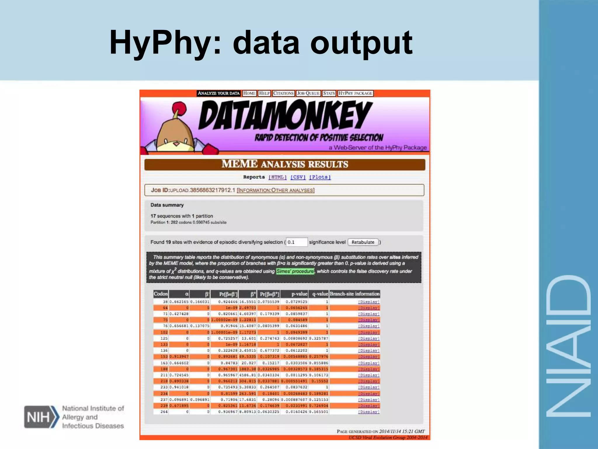 HyPhy: data output
 