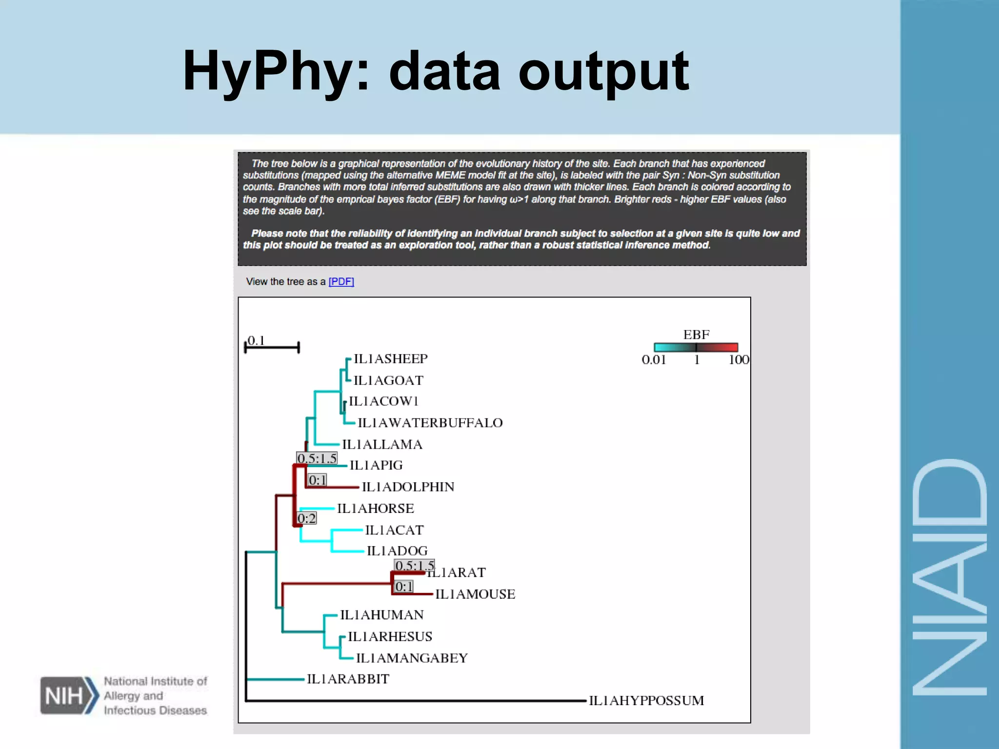 HyPhy: data output
 