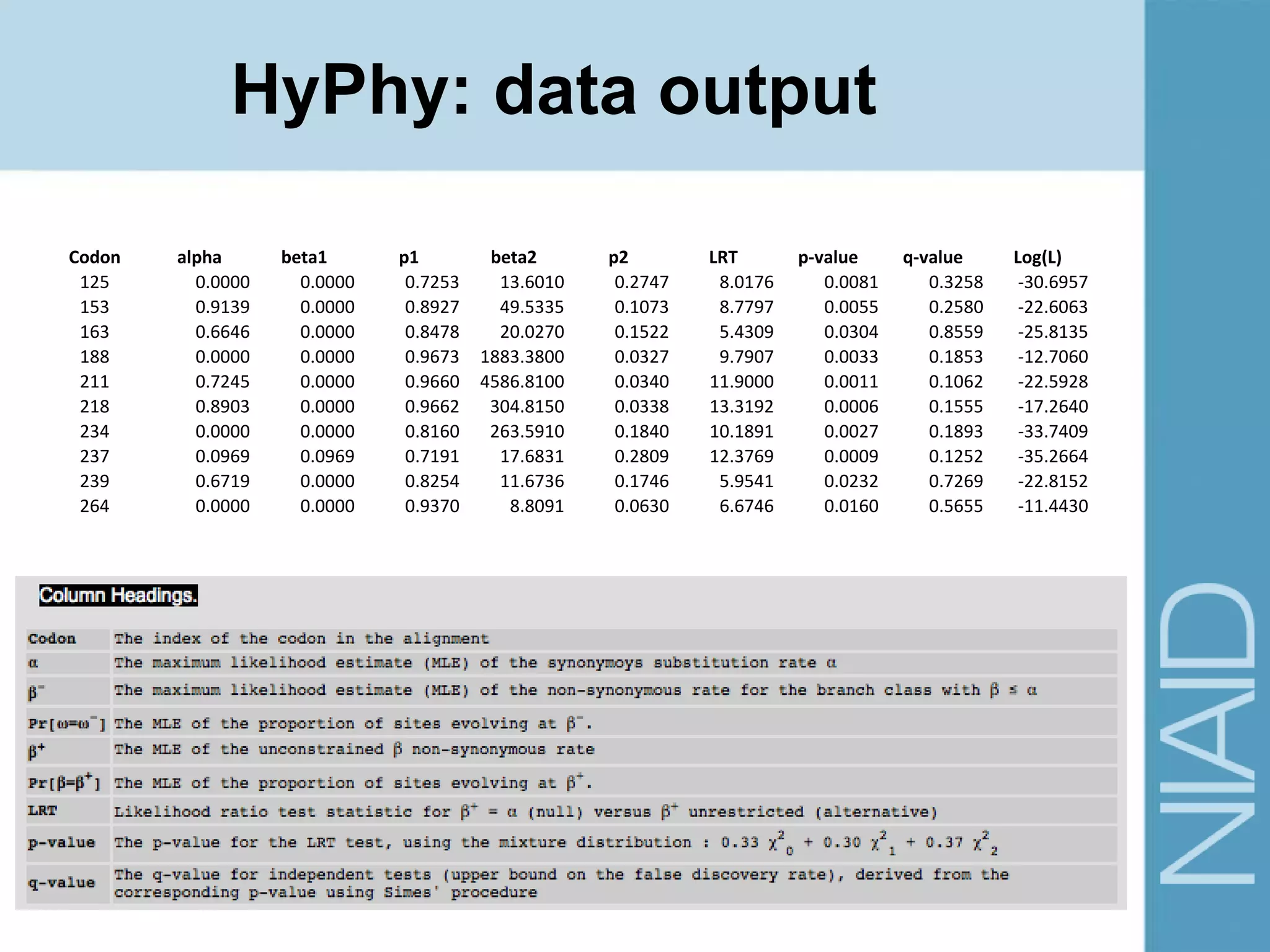 HyPhy: data output
Codon alpha beta1 p1 beta2 p2 LRT p-value q-value Log(L)
125 0.0000 0.0000 0.7253 13.6010 0.2747 8.0176 0.0081 0.3258 -30.6957
153 0.9139 0.0000 0.8927 49.5335 0.1073 8.7797 0.0055 0.2580 -22.6063
163 0.6646 0.0000 0.8478 20.0270 0.1522 5.4309 0.0304 0.8559 -25.8135
188 0.0000 0.0000 0.9673 1883.3800 0.0327 9.7907 0.0033 0.1853 -12.7060
211 0.7245 0.0000 0.9660 4586.8100 0.0340 11.9000 0.0011 0.1062 -22.5928
218 0.8903 0.0000 0.9662 304.8150 0.0338 13.3192 0.0006 0.1555 -17.2640
234 0.0000 0.0000 0.8160 263.5910 0.1840 10.1891 0.0027 0.1893 -33.7409
237 0.0969 0.0969 0.7191 17.6831 0.2809 12.3769 0.0009 0.1252 -35.2664
239 0.6719 0.0000 0.8254 11.6736 0.1746 5.9541 0.0232 0.7269 -22.8152
264 0.0000 0.0000 0.9370 8.8091 0.0630 6.6746 0.0160 0.5655 -11.4430
 