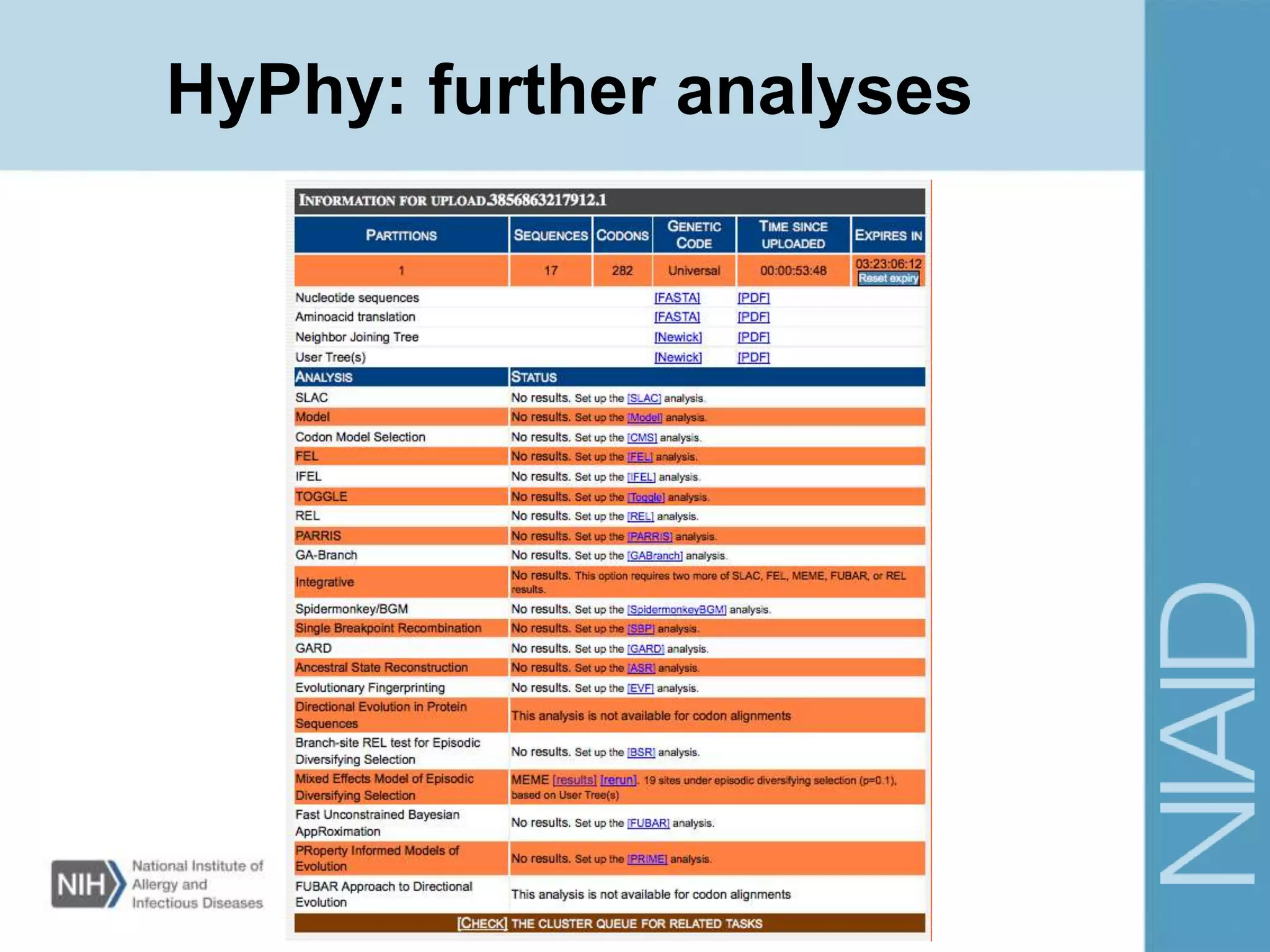 HyPhy: further analyses
 