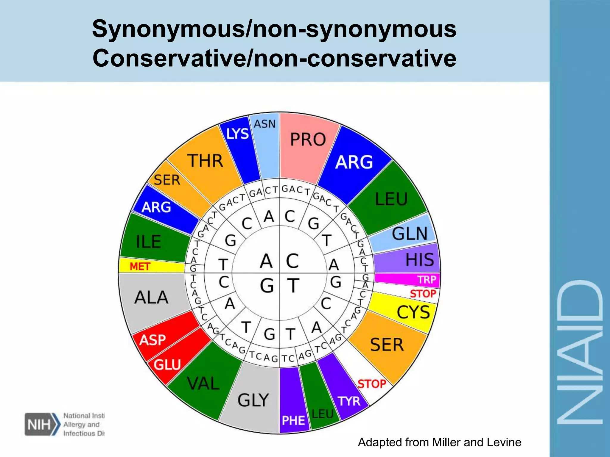 Synonymous/non-synonymous
Conservative/non-conservative
Adapted from Miller and Levine
 