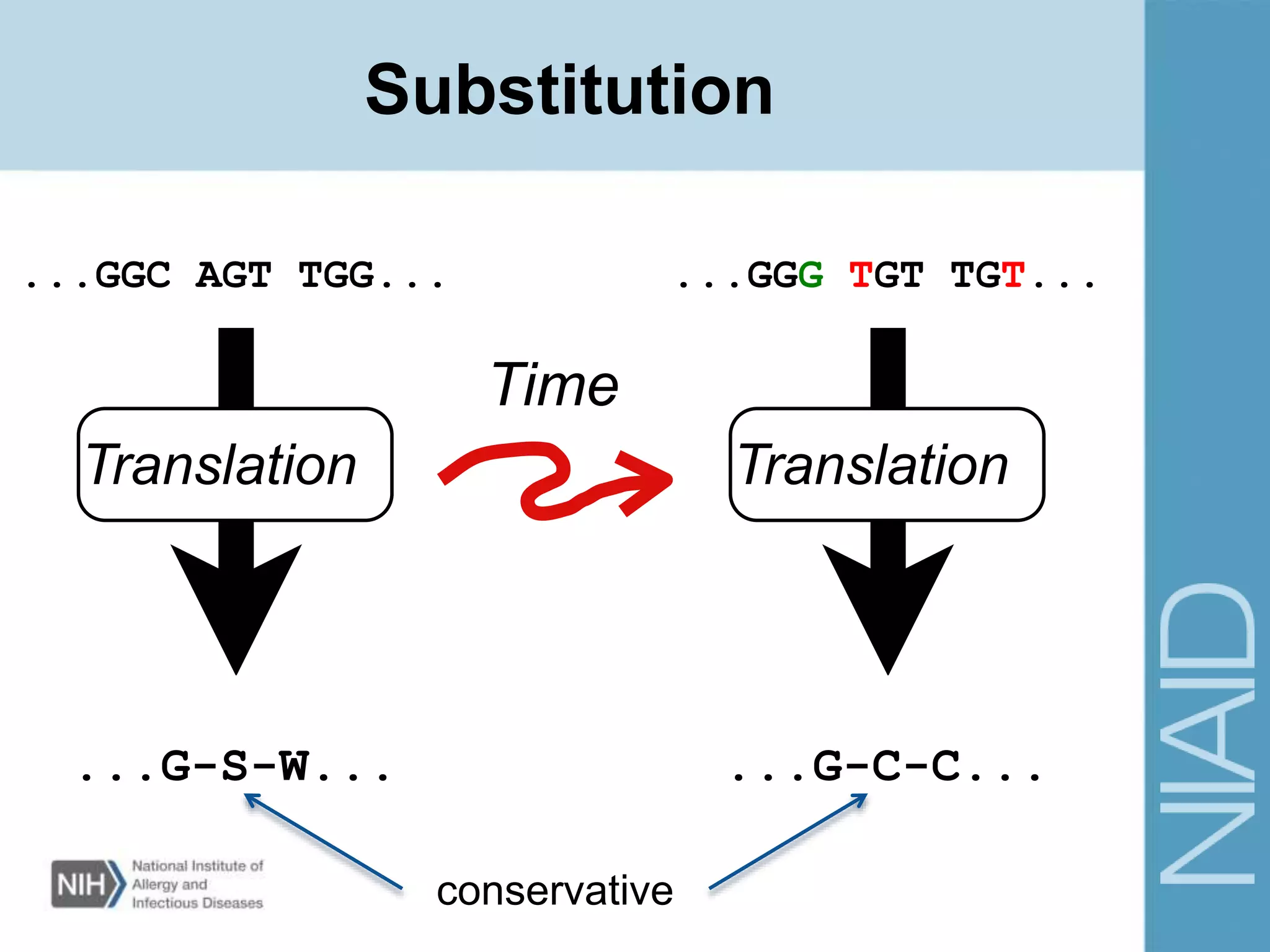 Substitution
...GGG TGT TGT...
Time
...GGC AGT TGG...
Translation Translation
...G-S-W... ...G-C-C...
conservative
 