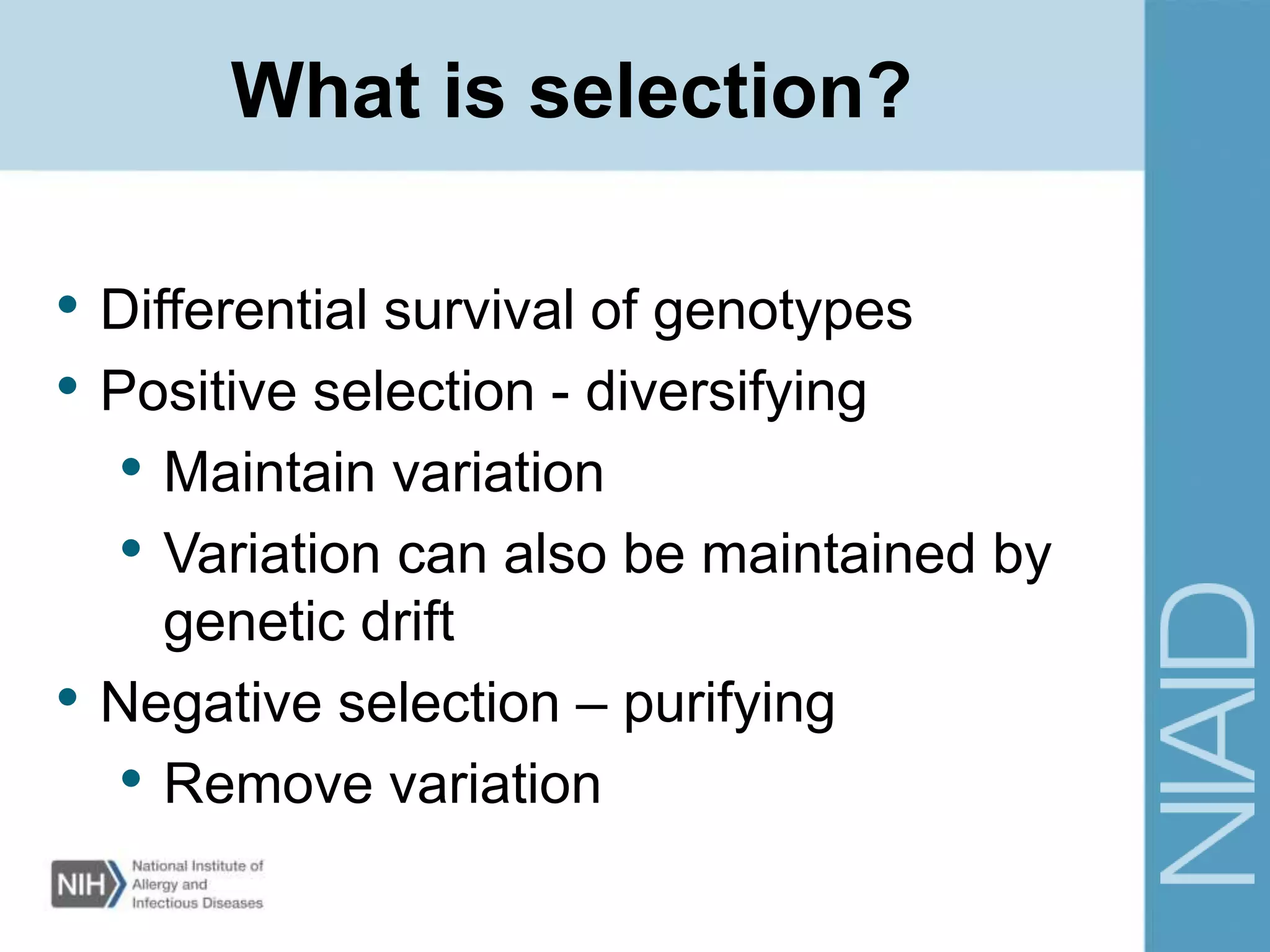 Selection analysis using HyPhy | PPTX