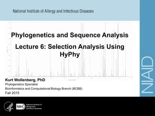 Fall 2015
Kurt Wollenberg, PhD
Phylogenetics Specialist
Bioinformatics and Computational Biology Branch (BCBB)
Phylogenetics and Sequence Analysis
Lecture 6: Selection Analysis Using
HyPhy
 