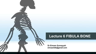 Lecture 6 FIBULA BONE
Dr Eimaan Sumayyah
eimaanktk@gmail.com
 
