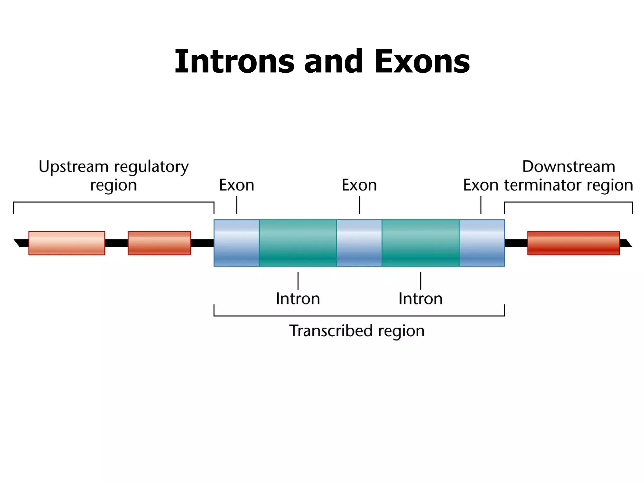 Genomics and bioinformatics | PPT