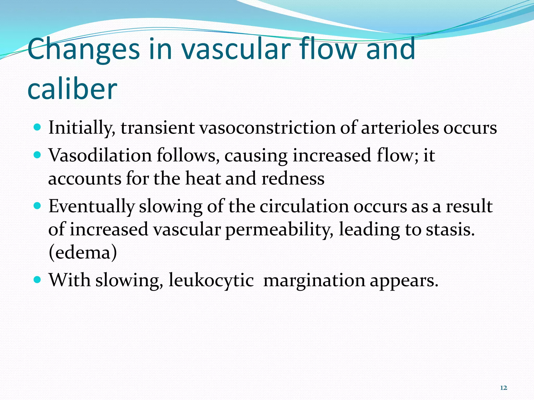 Changes in vascular flow and
caliber
 Initially, transient vasoconstriction of arterioles occurs
 Vasodilation follows, causing increased flow; it
accounts for the heat and redness
 Eventually slowing of the circulation occurs as a result
of increased vascular permeability, leading to stasis.
(edema)
 With slowing, leukocytic margination appears.
12
 