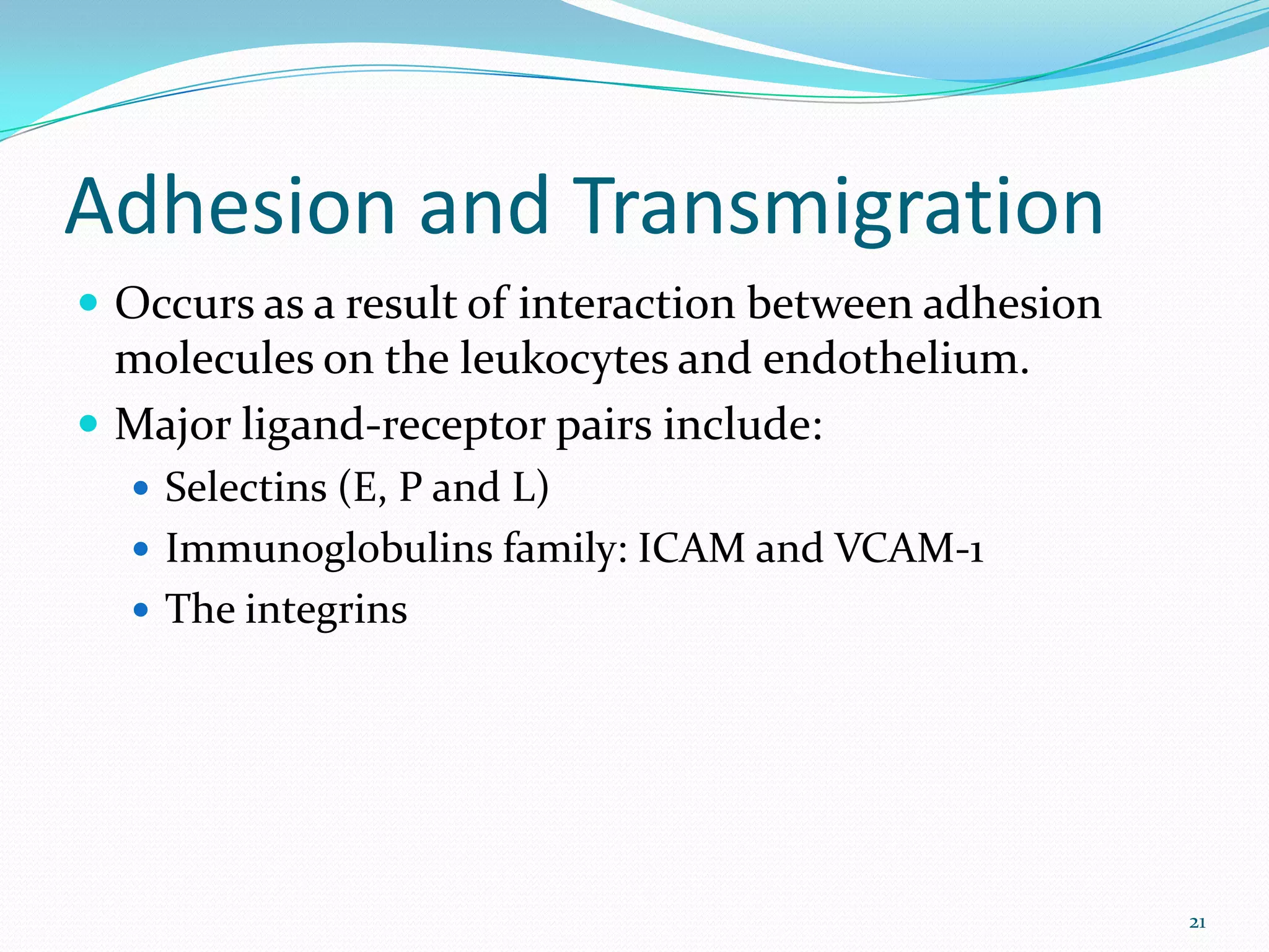 Adhesion and Transmigration
 Occurs as a result of interaction between adhesion
molecules on the leukocytes and endothelium.
 Major ligand-receptor pairs include:
 Selectins (E, P and L)
 Immunoglobulins family: ICAM and VCAM-1
 The integrins
21
 