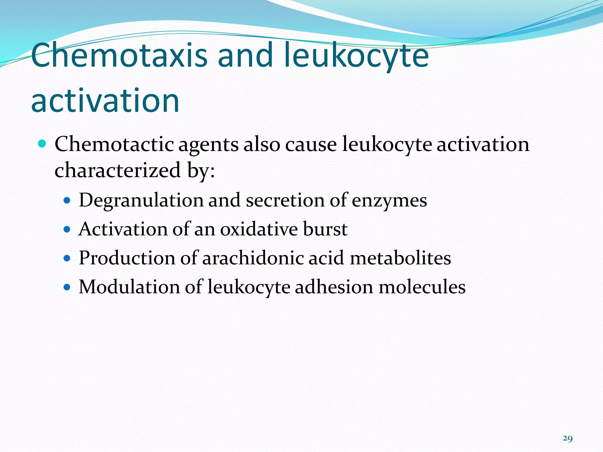 Chemotaxis and leukocyte
activation
 Chemotactic agents also cause leukocyte activation
characterized by:
 Degranulation and secretion of enzymes
 Activation of an oxidative burst
 Production of arachidonic acid metabolites
 Modulation of leukocyte adhesion molecules
29
 
