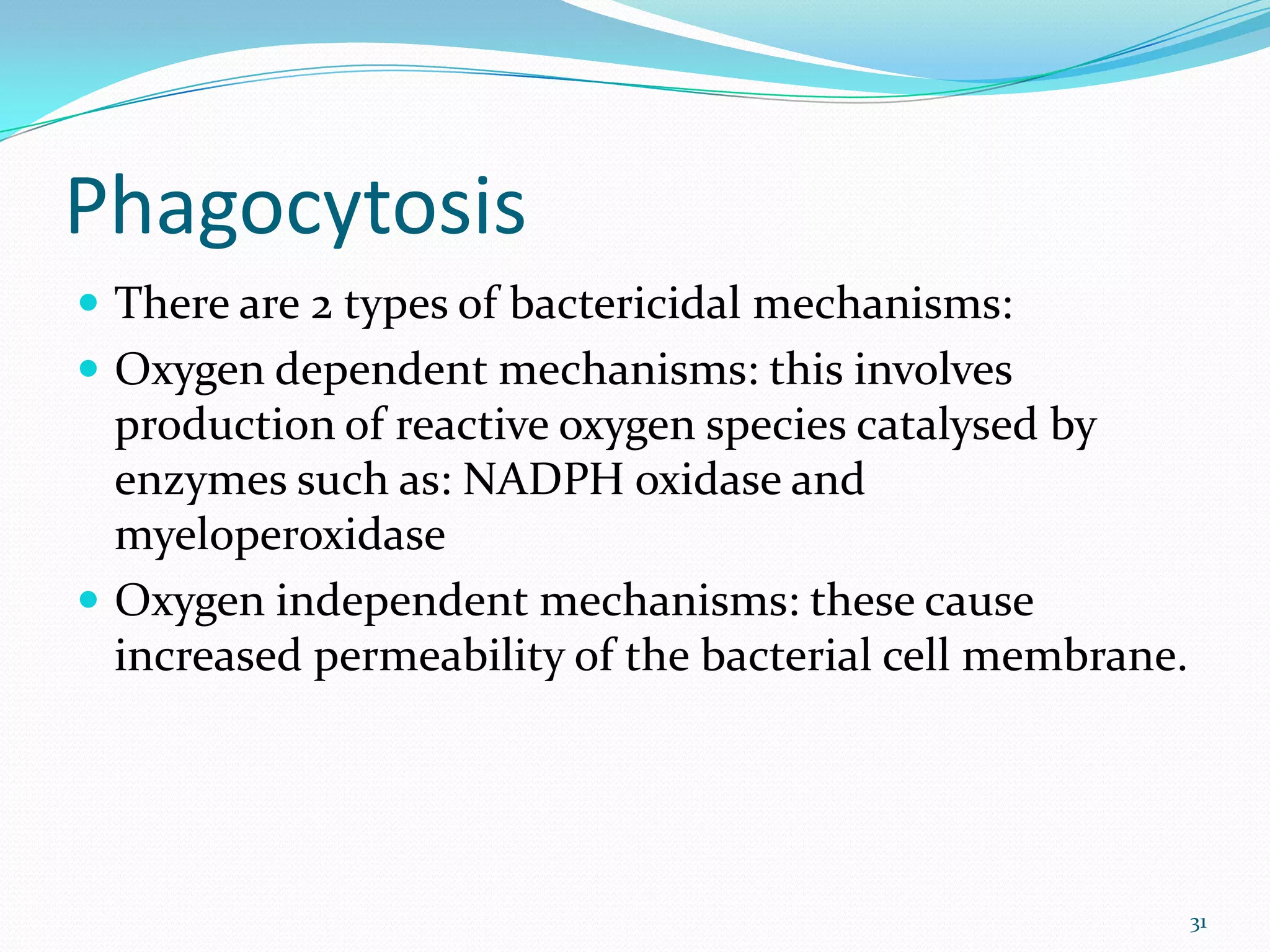 Phagocytosis
 There are 2 types of bactericidal mechanisms:
 Oxygen dependent mechanisms: this involves
production of reactive oxygen species catalysed by
enzymes such as: NADPH oxidase and
myeloperoxidase
 Oxygen independent mechanisms: these cause
increased permeability of the bacterial cell membrane.
31
 