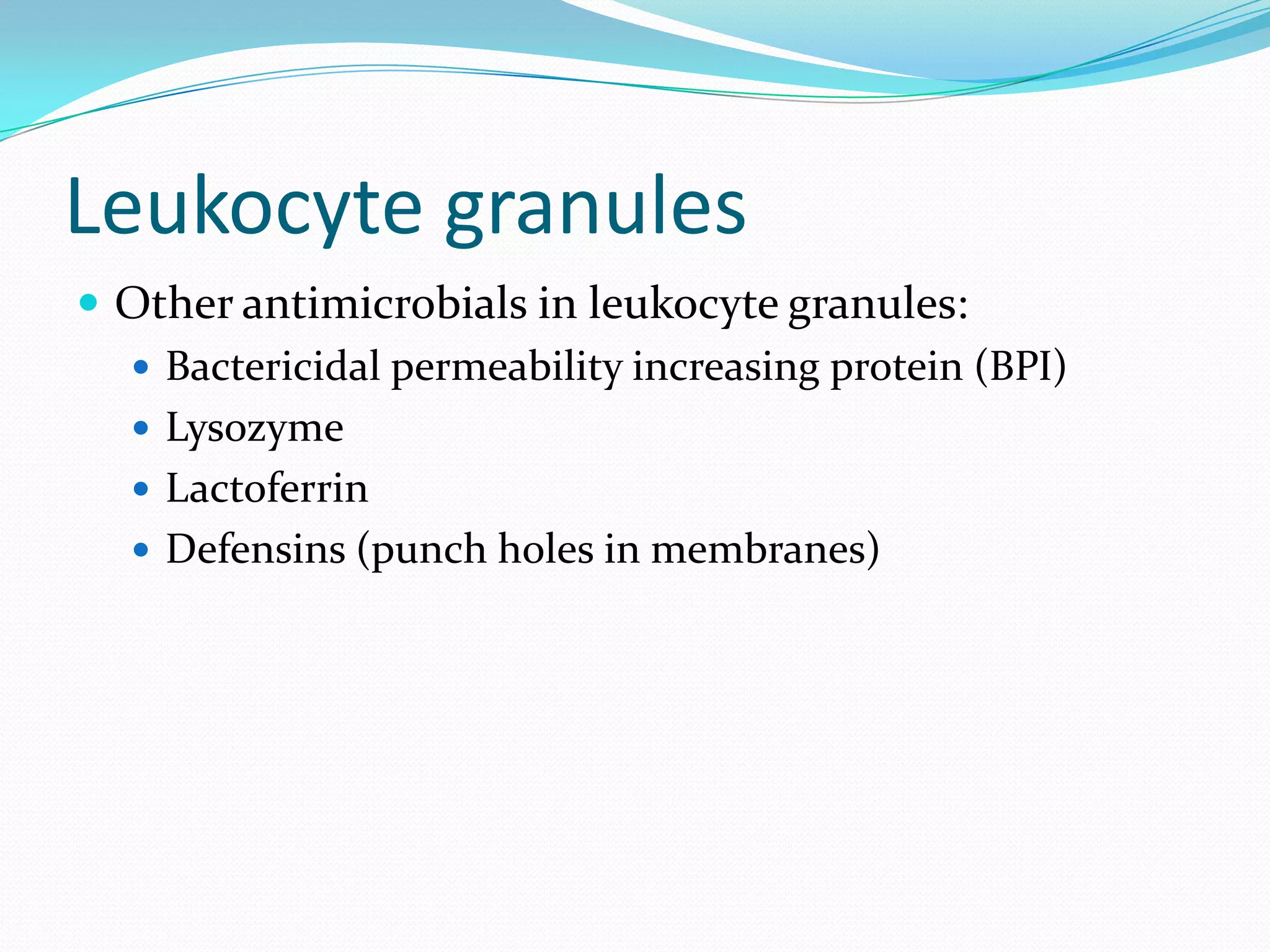 Leukocyte granules
 Other antimicrobials in leukocyte granules:
 Bactericidal permeability increasing protein (BPI)
 Lysozyme
 Lactoferrin
 Defensins (punch holes in membranes)
 