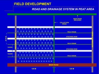 Lecture 6 Land Preparation and Planting AGR3501.pdf
