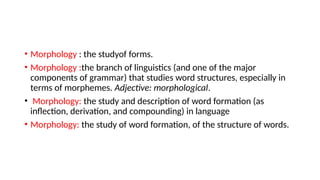 Comprehensive Lecture on Morphological Structure and Morphosyntax in ...