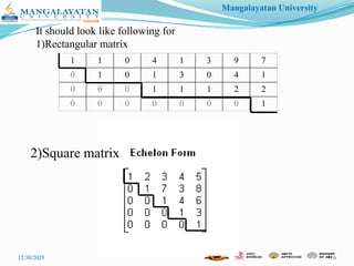 Elementary Matrix Operations and Elementary Matrix | PPTX