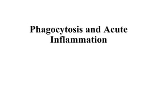 Phagocytosis and Acute
Inflammation
 