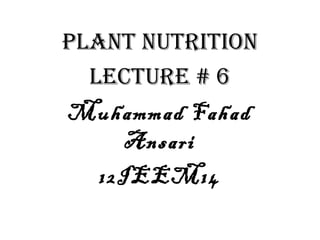 Plant nutrition
  lecture # 6
Muhammad Fahad
      Ansari
   12IEEM14
 