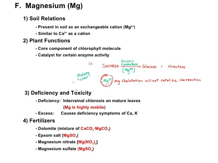 Plant nutrition by Muhammad Fahad Ansari12IEEM14