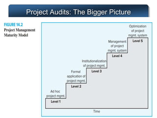 Project Audits: The Bigger Picture
14–14
 