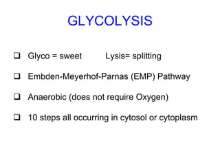 GLYCOLYSIS
 Glyco = sweet Lysis= splitting
 Embden-Meyerhof-Parnas (EMP) Pathway
 Anaerobic (does not require Oxygen)
 10 steps all occurring in cytosol or cytoplasm
 