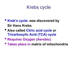 Krebs cycle
• Kreb’s cycle- was discovered by
Sir Hans Krebs
• Also called Citric acid cycle or
Tricarboxylic Acid (TCA) cycle
• Requires Oxygen (Aerobic)
• Takes place in matrix of mitochondria
 