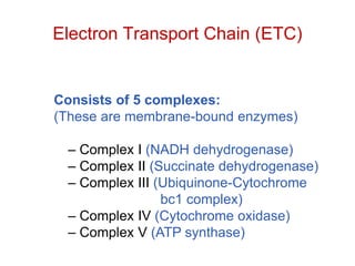 Consists of 5 complexes:
(These are membrane-bound enzymes)
– Complex I (NADH dehydrogenase)
– Complex II (Succinate dehydrogenase)
– Complex III (Ubiquinone-Cytochrome
bc1 complex)
– Complex IV (Cytochrome oxidase)
– Complex V (ATP synthase)
Electron Transport Chain (ETC)
 
