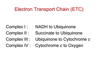 Complex I : NADH to Ubiquinone
Complex II : Succinate to Ubiquinone
Complex III : Ubiquinone to Cytochrome c
Complex IV : Cytochrome c to Oxygen
Electron Transport Chain (ETC)
 